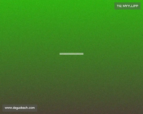 法国女足中国赛事激情对决荣耀之战精彩上演